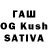 Каннабис сатива Akhter Naqvi