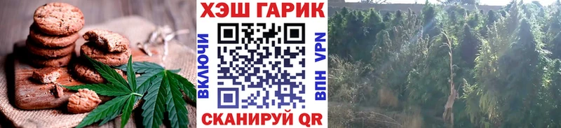 Еда ТГК марихуана  Купить где  Звенигород 