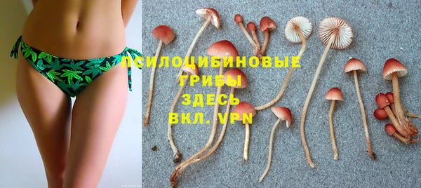 экстази Ельня