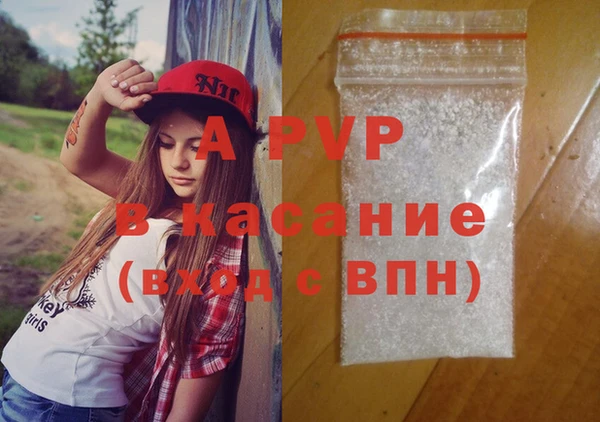 PSILOCYBIN Елабуга