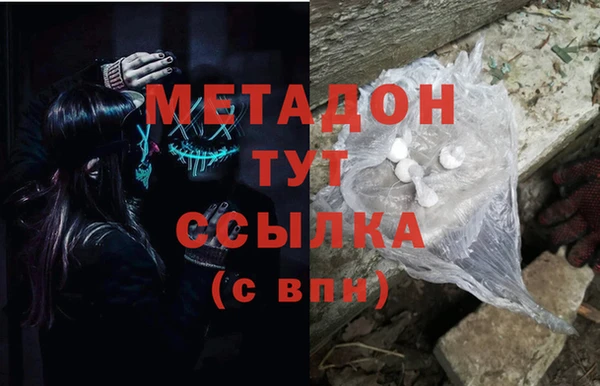 гидра Елизово