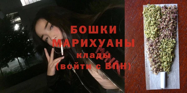 PSILOCYBIN Елабуга