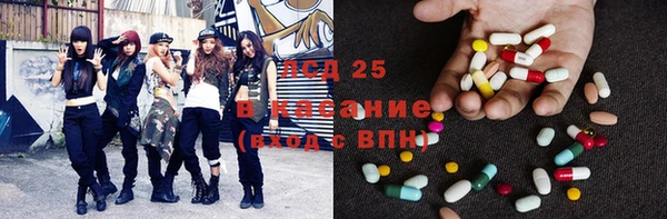 гидра Елизово