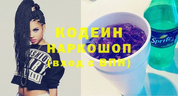 гидра Елизово