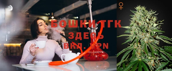 экстази Ельня