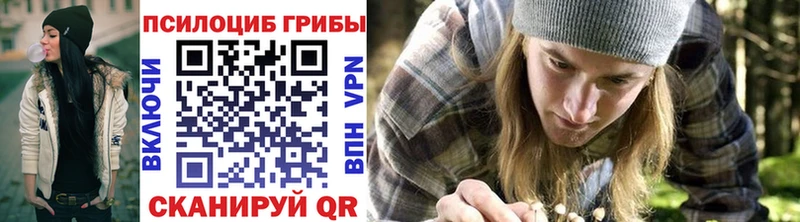 Купить Звенигород Псилоцибиновые грибы прущие грибы